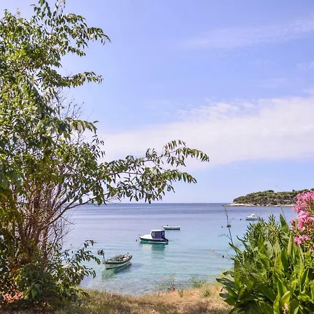 Valkovic Lejlighed *