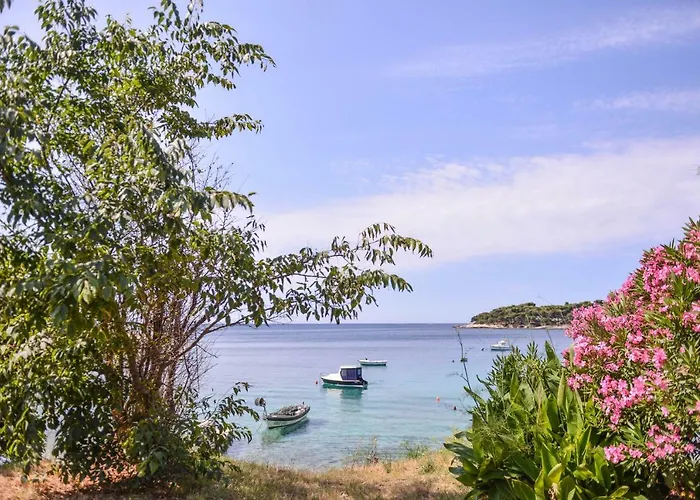 Valkovic Апартаменты *